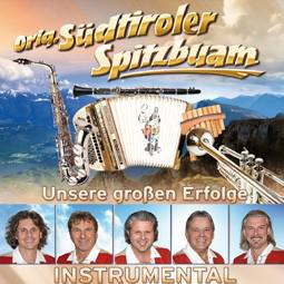 Original Südtiroler Spitzbuam: Unsere großen Erfolge Instrumental CD