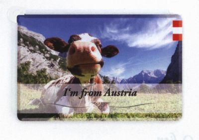 Fridge Magnet Austria Cow